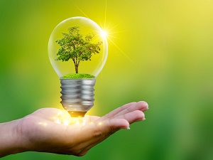 light bulb in hand with tree inside