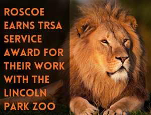 roscoe earns TRSA service award for zoo work